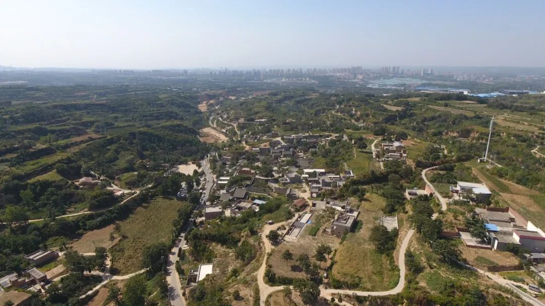 1710319297456.jpg 640 (2).jpg