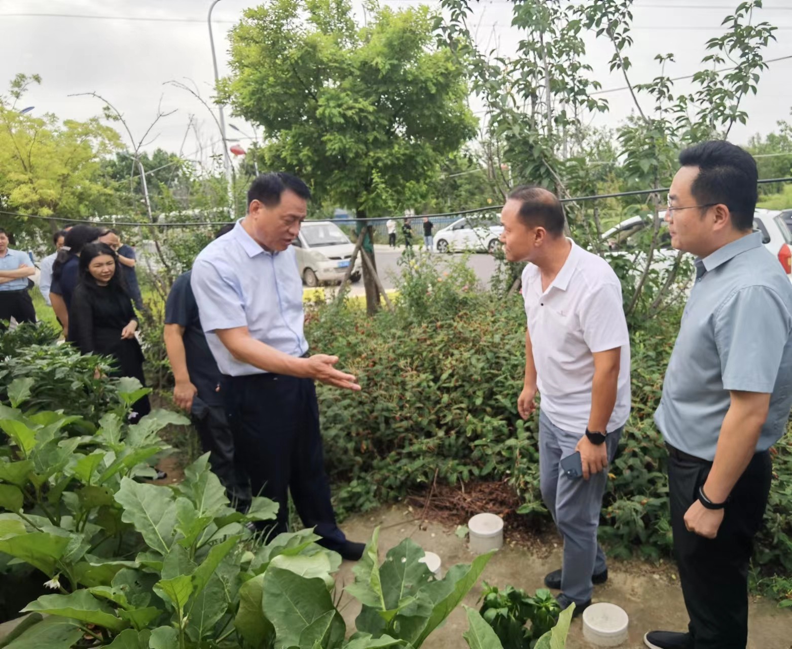 1689817370310.jpg 11.jpg