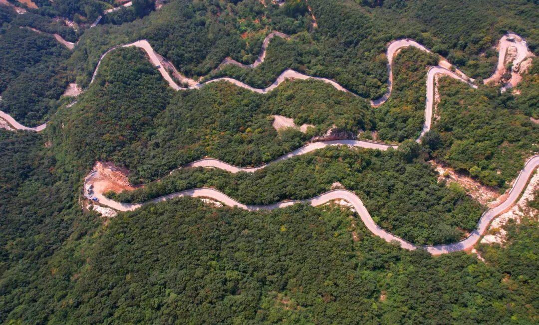 1710319273307.jpg 640 (1).jpg