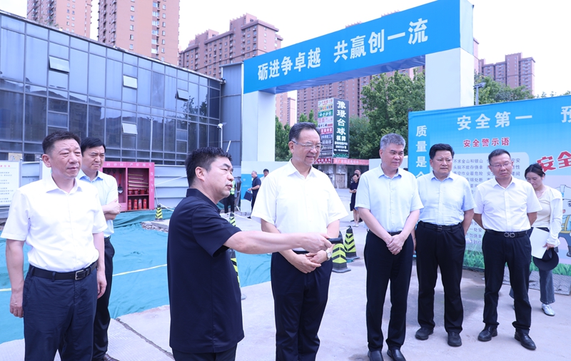市领导视察全市防汛备汛工作